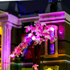 LED-Beleuchtungsset für LEGO® Icons Naturhistorisches Museum 10326 Fernbedienungs-Version