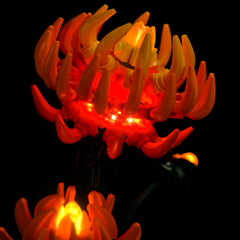 LED-beleuchtungsset für LEGO® Icons Chrysanthemum 10368