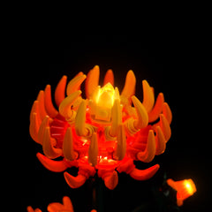 LED-beleuchtungsset für LEGO® Icons Chrysanthemum 10368