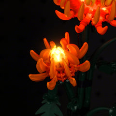 LED-beleuchtungsset für LEGO® Icons Chrysanthemum 10368