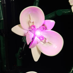 LED-beleuchtungsset für LEGO® The Botanical Collection Orchid 10311