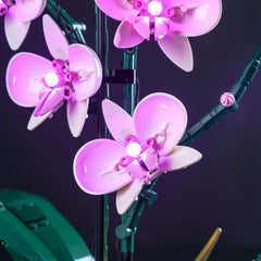 LED-beleuchtungsset für LEGO® The Botanical Collection Orchid 10311