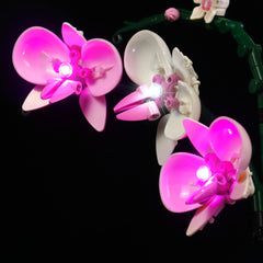 LED-beleuchtungsset für LEGO® The Botanical Collection Orchid 10311