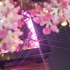 LED-beleuchtungsset für LEGO® Bonsai Tree 10281 Pinke Version