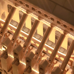 LED-Beleuchtungsset für LEGO® Architecture Notre-Dame de Paris (21061)