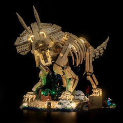 LED-Beleuchtungsset für LEGO® Jurassic World Dinosaurier-Fossilien: Triceratops 77985