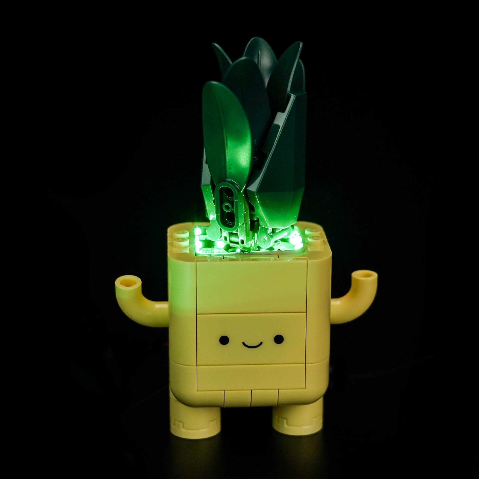 LED-beleuchtungsset für LEGO® The Botanical Collection Happy Plants 10349