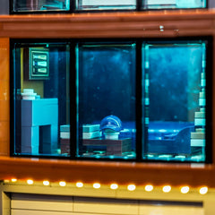 LED-beleuchtungsset für LEGO® Ideas Twilight The Cullen House 21354