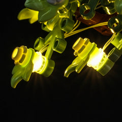 LED-Beleuchtungsset für LEGO® Ideas Liebesvögel 21365 Fernbedienungs-Version