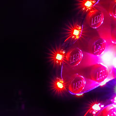 Kit di Illuminazione LED per LEGO® Pinguini Innamorati 40886 – Versione con Telecomando
