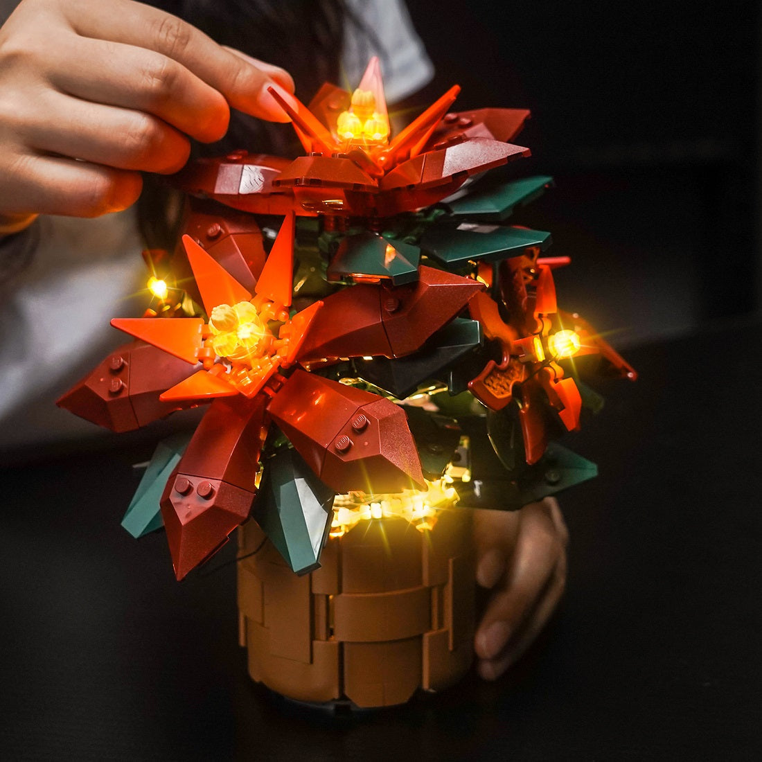 LED-beleuchtungsset für LEGO® Icons Poinsettia 10370