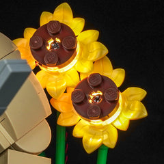 LED-Beleuchtungsset für LEGO® Shrek, Donkey & Puss in Boots 72423
