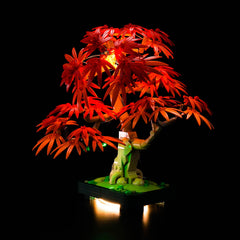 LED-beleuchtungsset für LEGO® The Botanical Collection Japanese Red Maple Bonsai Tree 10348