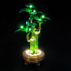 LED-beleuchtungsset für LEGO® The Botanical Collection Lucky Bamboo 10344