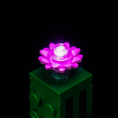 Set de Iluminación LED para LEGO® Minecraft El Mazmorra del Zombie – 21587 Versión con Control Remoto